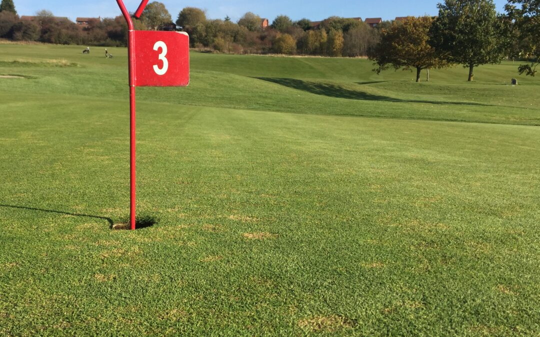 World Handicapping System & Affiliation to England Golf