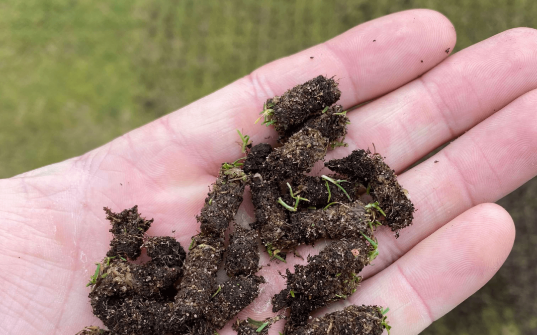 Why do we put little holes in the greens
